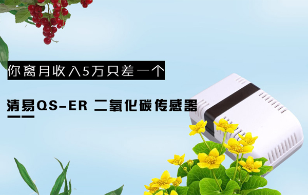二氧化碳.jpg