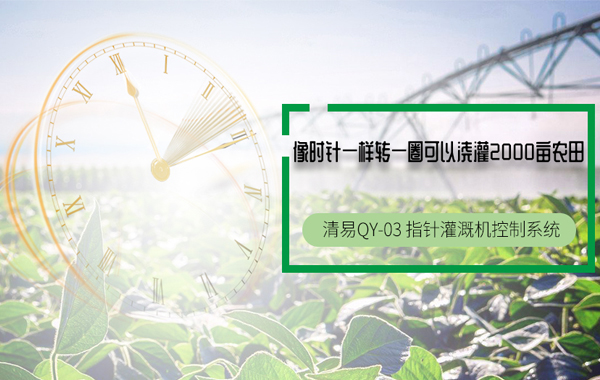指针.jpg